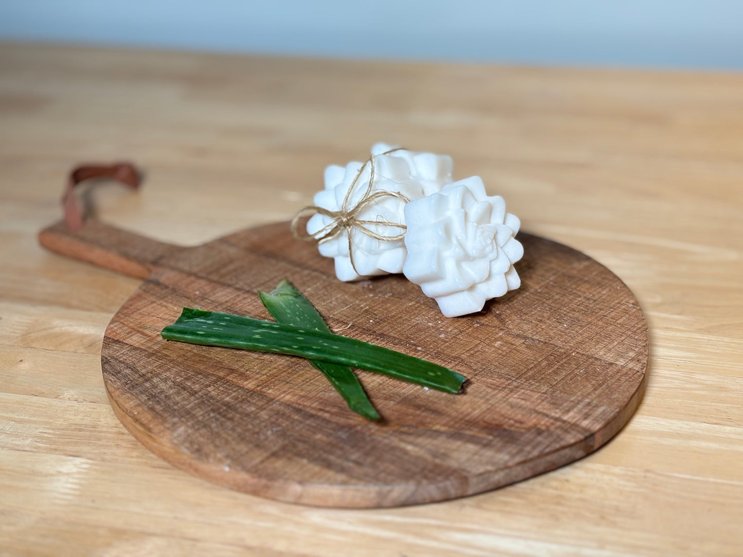 Coconut Aloe (2 Bars)-  Natural Bar Soap